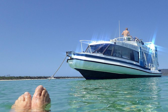 Maria Island Cruise and Guided Walk Day Tour with Lunch and Drinks - Morning tea with Australian fur seals