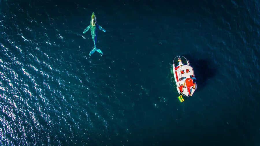 Marietas Islands Boat Tour: Snorkel, Kayak, Playa Nopalera - A Floating Day Out From Banderas Bay