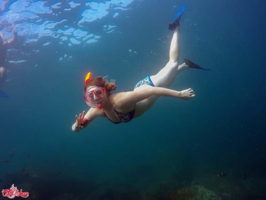 Marietas Islands Boat Tour: Snorkel, Kayak, Playa Nopalera - Lunch, Drinks, and the Return Ride