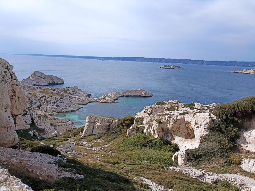 Marseille: Catamaran cruise to discover Frioul Islands - Marseille’s harbor from the rooftop