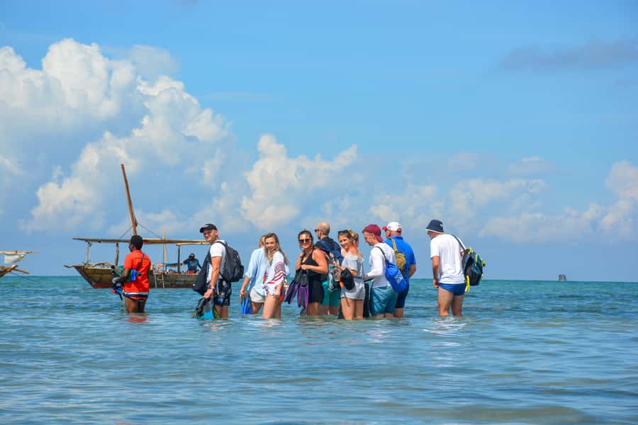 Matemwe: Mnemba Island Dolphin & Snorkeling Boat Trip - How the trip handles dolphin ethics