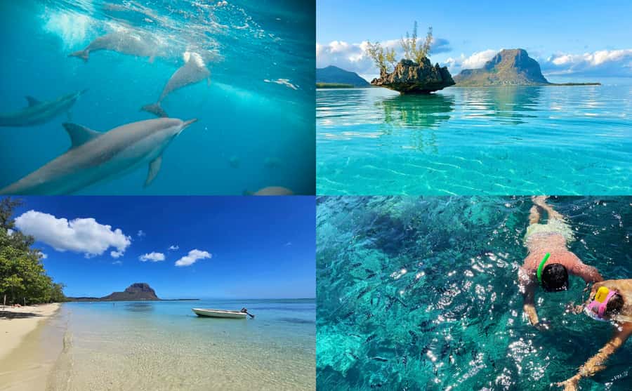 Mauritius: Benitier Island - Swim Dolphins - Speedboat & BBQ - A seven-hour day on Mauritius’s west coast