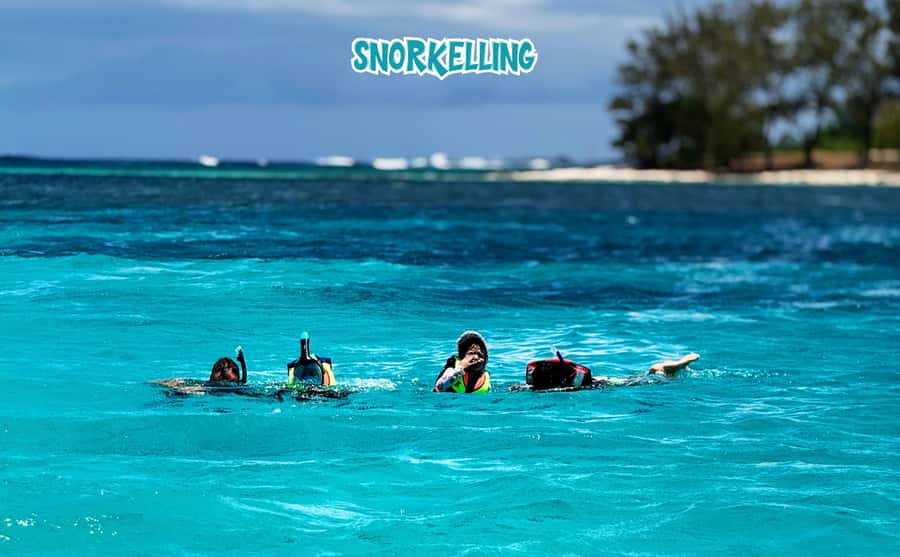 Mauritius: Benitier Island - Swim Dolphins - Speedboat & BBQ - A secret stop for swimming and snorkeling