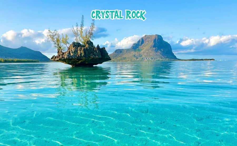 Mauritius: Benitier Island - Swim Dolphins - Speedboat & BBQ - Benitier Island: shallow water, sand, and plenty of company