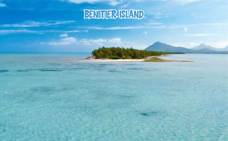 Mauritius: Benitier Island - Swim Dolphins - Speedboat & BBQ - Who will enjoy this most