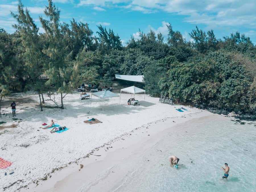 Mauritius: Private 5 Island Tour with Ile aux Cerfs - Ile aux Aigrettes for a swim and refreshment