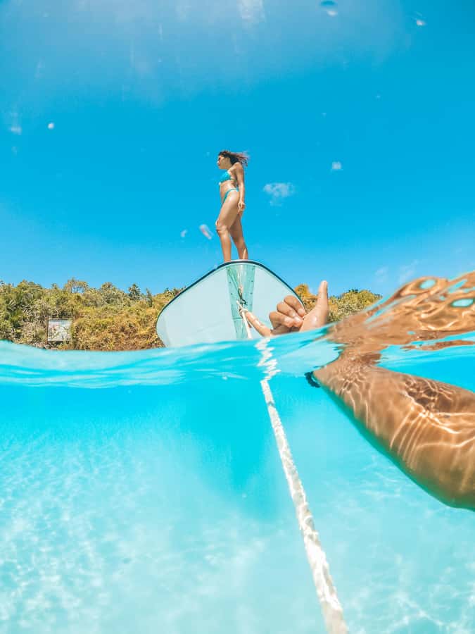 Mauritius: Private 5 Island Tour with Ile aux Cerfs - Dolphins, monkeys, and what wildlife means here