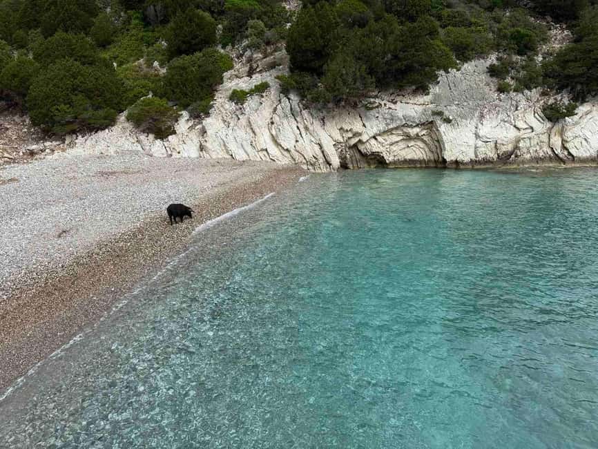 Meganisi & Atokos Island Cruise - A six-hour Ionian day from Nidri