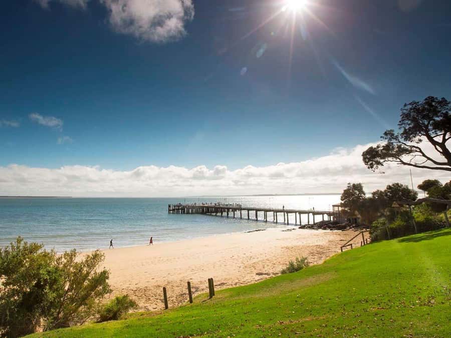 Melbourne: Phillip Island Tour w/ Hop-on Bus or Seal Cruise - The Nobbies is more than a photo stop