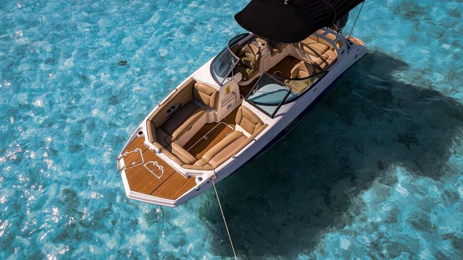 Miami: Celebrity Houses and Star Island Boat Tour - Dolphins, Raccoons, and Wildlife Sightings