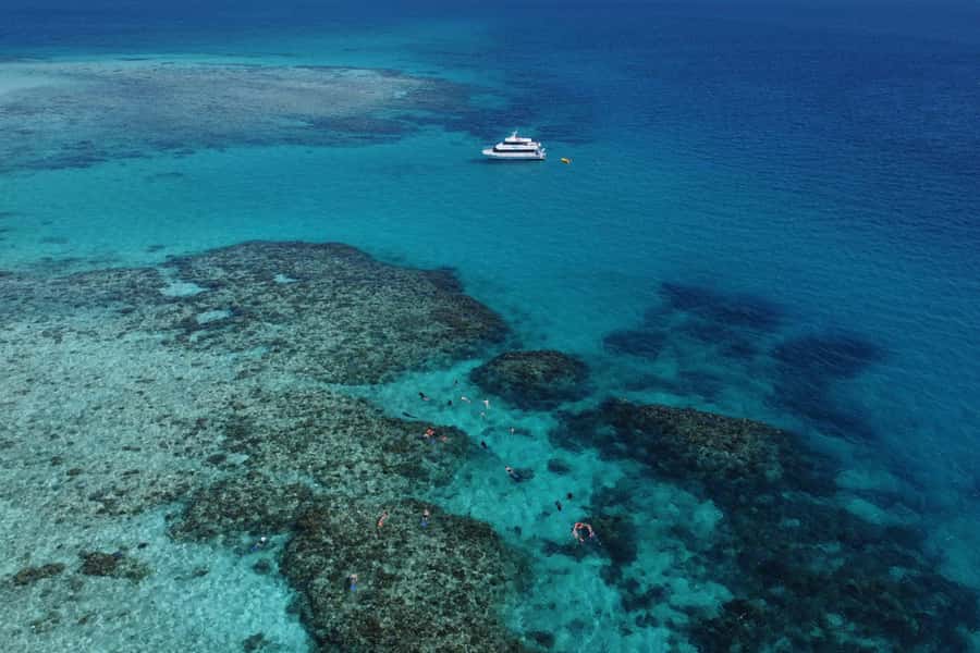 Mission Beach: Outer Great Barrier Reef & Dunk Island Tour - Why Beaver Reef makes this trip different