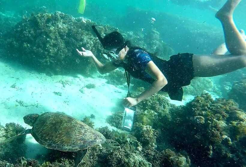 Moalboal: Pescador Island Hopping Adventure and Sardine Run - Lunch gives the day a useful pause