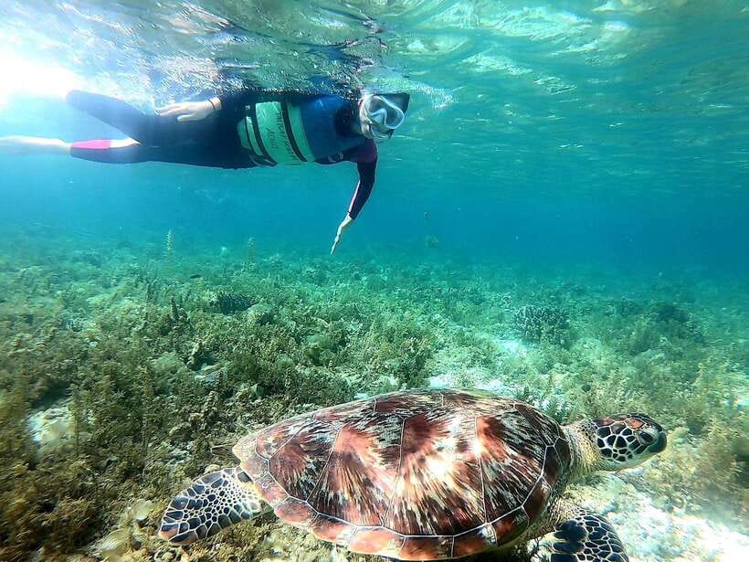 Moalboal: Sardine Run, Turtles and Pescador Island Hopping - The guides and the value of personal help