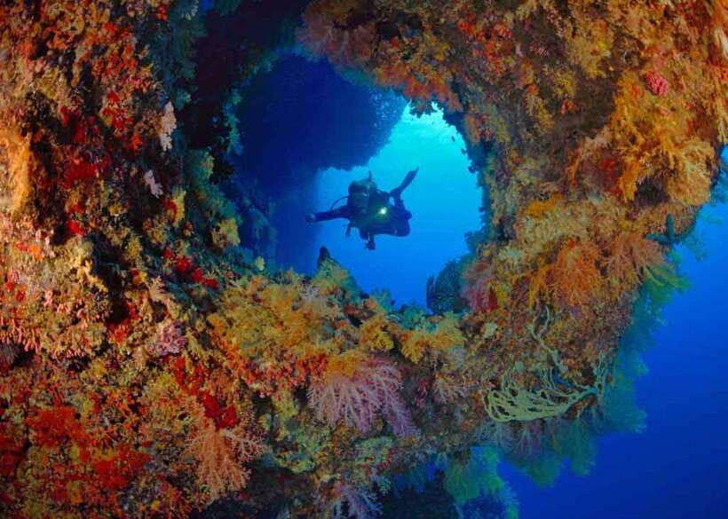 Moalboal: Scuba Diving and Pescador Island Hopping - Should you book the Moalboal scuba day?