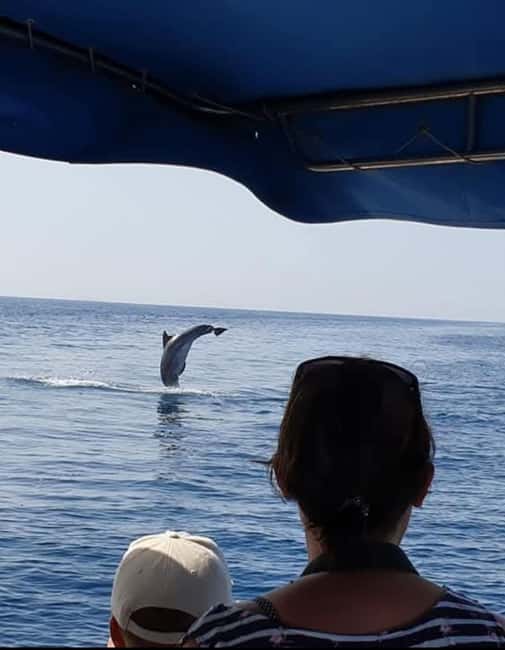 Molat Island Dolphin Watching Boat Tour 6hours TOUR - Swimming and free time near Molat