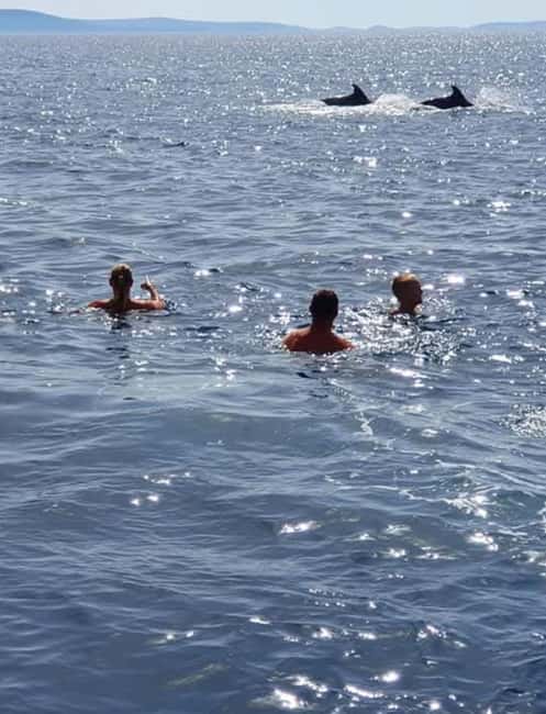 Molat Island Dolphin Watching Boat Tour 6hours TOUR - Lunch, drinks, and the vegetarian option