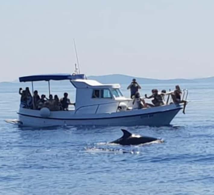 Molat Island Dolphin Watching Boat Tour 6hours TOUR - The real cost: check the euro figures carefully