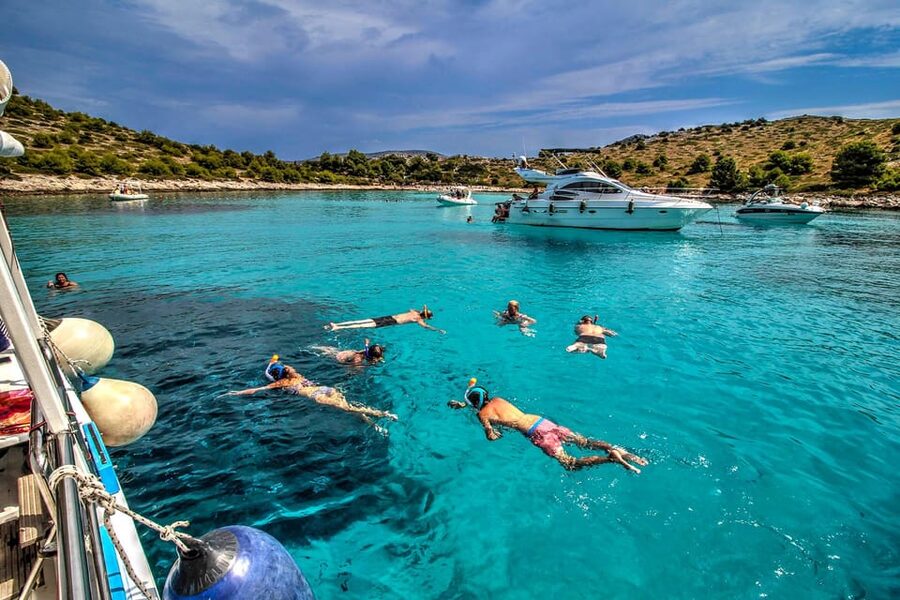 Molat Island Dolphin Watching Boat Tour 6hours TOUR - Should you book the Molat dolphin cruise?