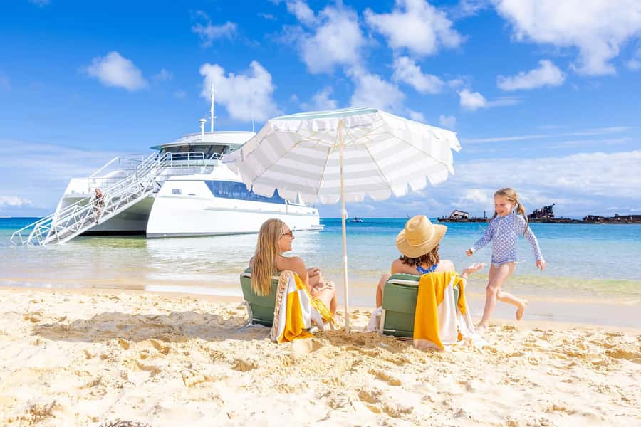 Moreton Island: Dolphin & Tangalooma Wrecks Snorkel Cruise - Key points before you book
