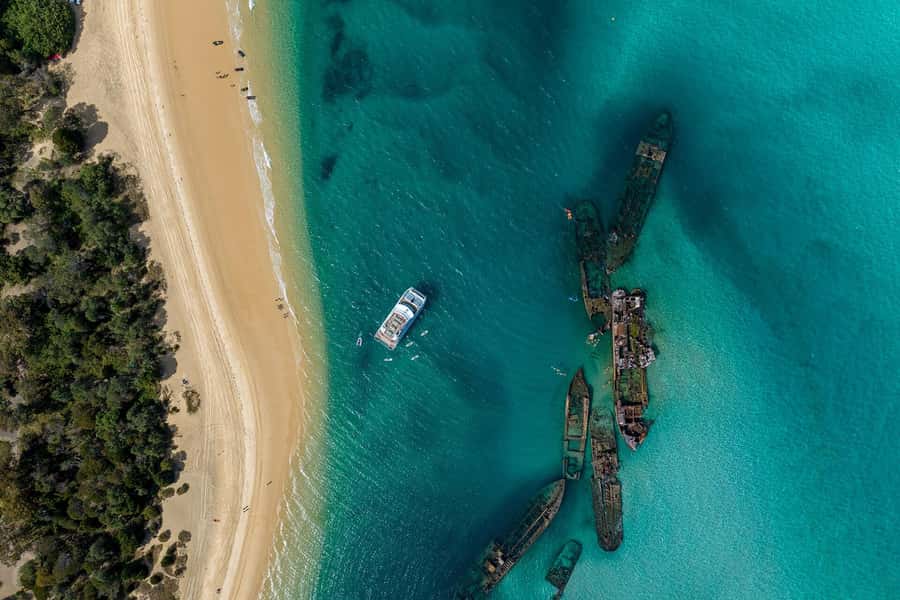 Moreton Island: Dolphin & Tangalooma Wrecks Snorkel Cruise - Why this Moreton Island day works so well