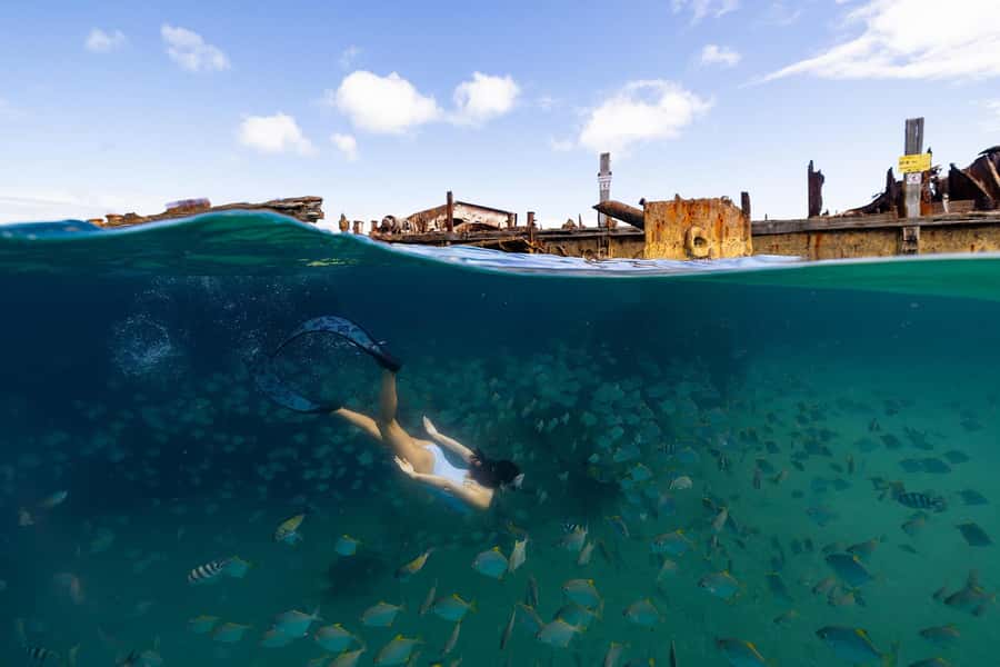 Moreton Island: Dolphin & Tangalooma Wrecks Snorkel Cruise - Who will enjoy this cruise most