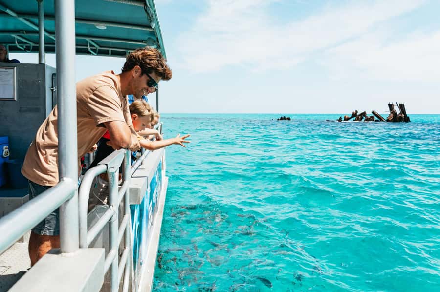 Moreton Island: Marine Discovery Cruise & Dolphin Feeding - Tangalooma gives you a full island afternoon