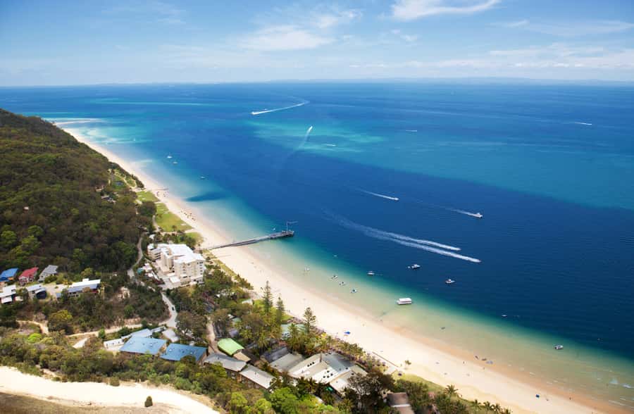 Moreton Island: Marine Discovery Cruise & Dolphin Viewing - Key points to know before booking
