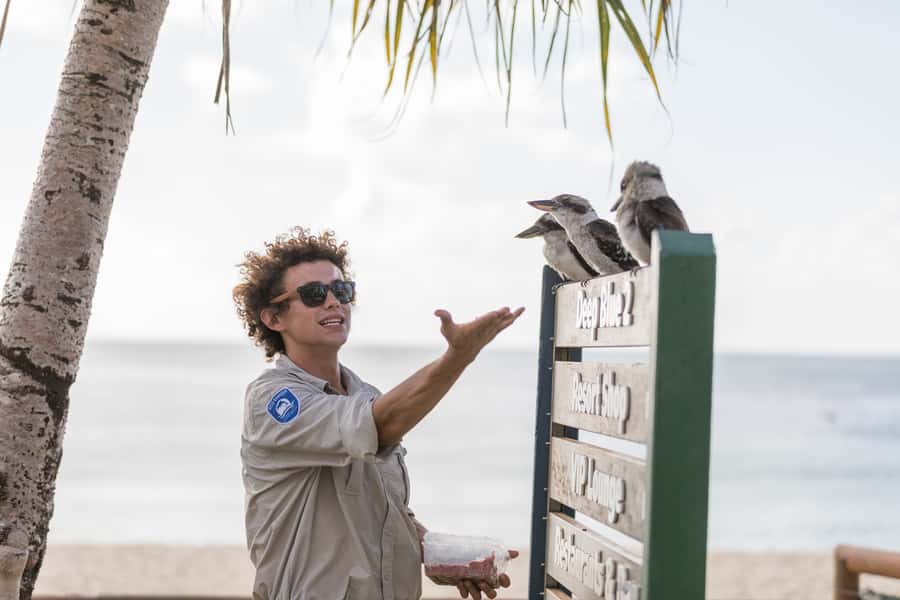 Moreton Island: Marine Discovery Cruise & Dolphin Viewing - Free time on the beach, by the pool, or in the Eco-Centre