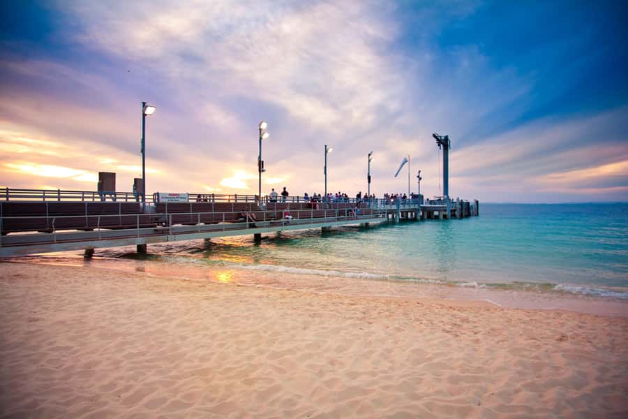 Moreton Island: Marine Discovery Cruise & Dolphin Viewing - Return to Brisbane after dark