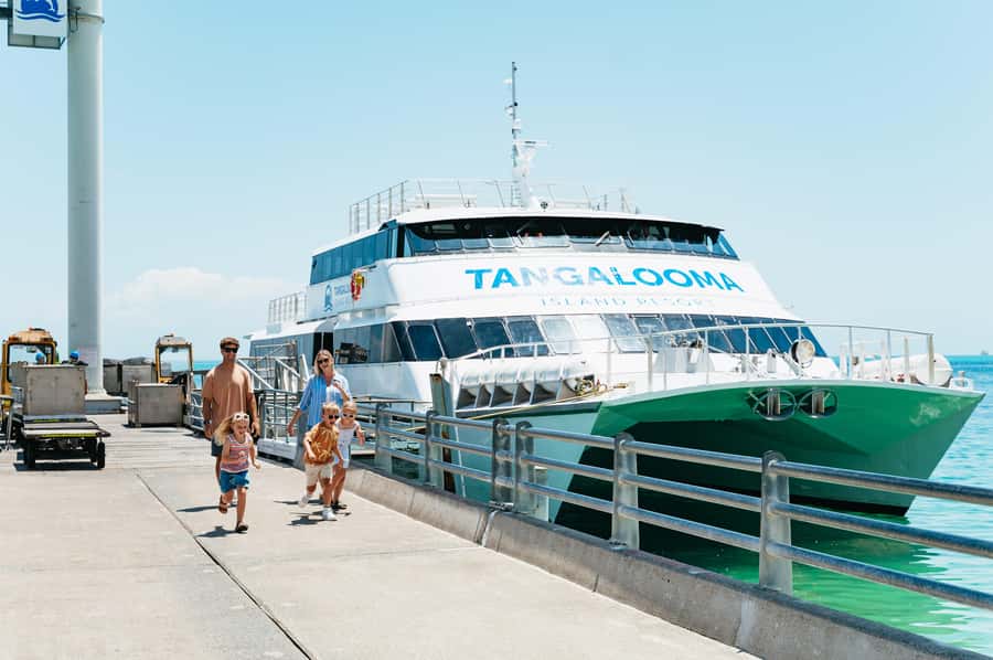 Moreton Island: Tangalooma Day Trip Marine Discovery Cruise - Key points to know before you book