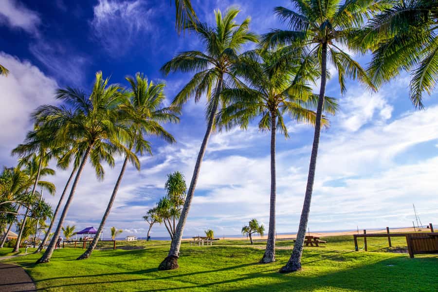 Moreton Island: Tangalooma Day Trip Marine Discovery Cruise - Is $109 a fair price?