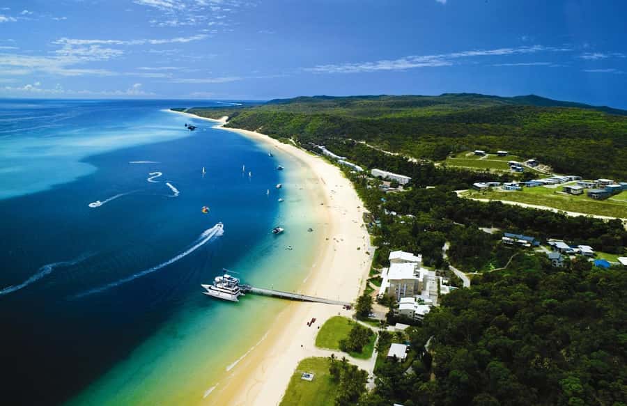 Moreton Island: Tangalooma Day Trip & Whale Watching Cruise - The real reason to go: humpbacks off Moreton Island