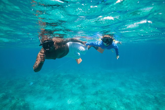 Morning Half Day Cruise from Providenciales with Snorkeling and Iguana Island - Is $159.30 a fair price?