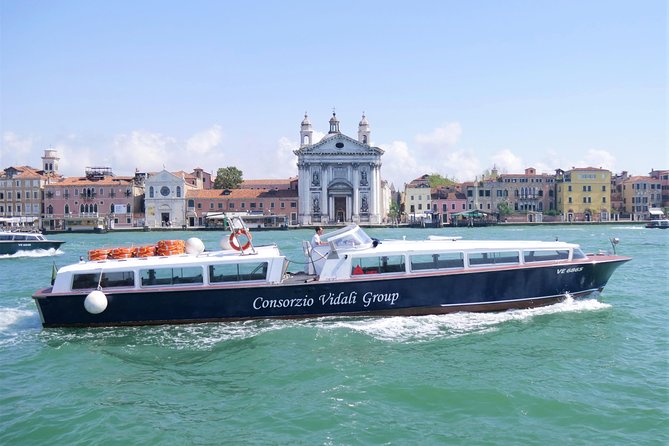 Morning Venice Lagoon Cruise: Murano and Burano Islands - What the guide adds, and where the format falls short