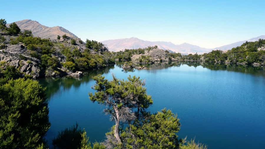 Mou Waho Island: 3-Hour Cruise and Guided Nature Walk - Guides who make the short hike worthwhile