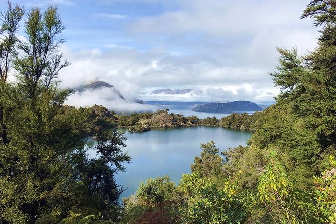 Mou Waho Island Cruise and Guided Nature Walk - Arethusa Pool, the island’s remarkable second lake