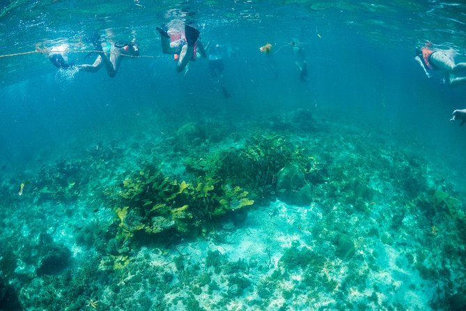 Mujeres Island Tour by Catamaran from Cancun City - The platinum question and extra fees