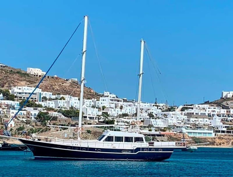Mykonos: Delos and Rhenia Islands Cruise with BBQ Meal - Key points to know before you book