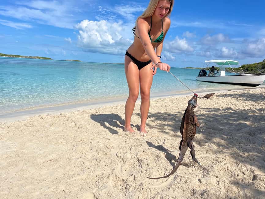 Nassau: 3 Islands Boat w/ Swimming Pigs, Snorkeling & Turtle - What the $175 price really covers