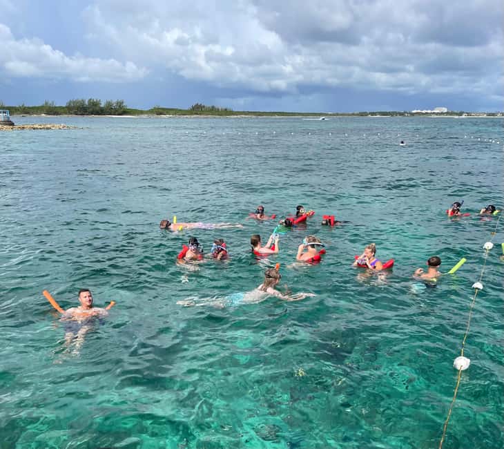 Nassau: 3 Islands Boat w/ Swimming Pigs, Snorkeling & Turtle - Practical tips for a smoother trip