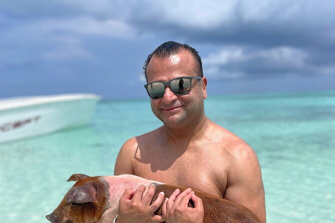 Nassau: 3 islands Pigs,Turtles,Snorkel & Beach Club with lunch - Green Cay and the turtle sanctuary