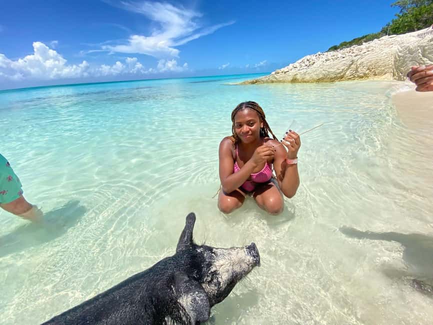 Nassau: 3 Islands Tour, Snorkel, Pig Beach, Turtles & Lunch - A Four-Hour Sprint Through Nassau’s Island Waters