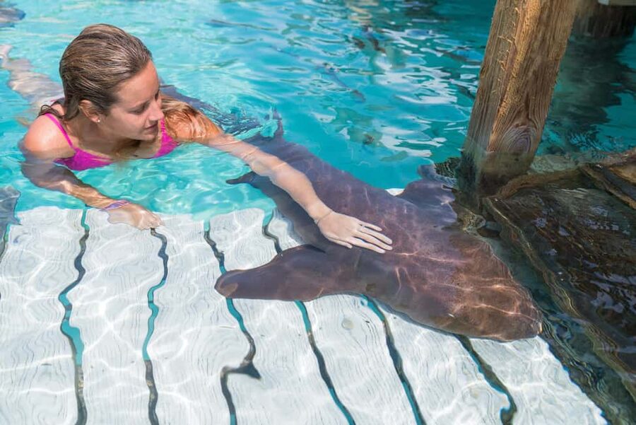 Nassau: Discover Exuma Island Hopping and Swimming Pigs Tour - Why this Exuma day trip packs in so much