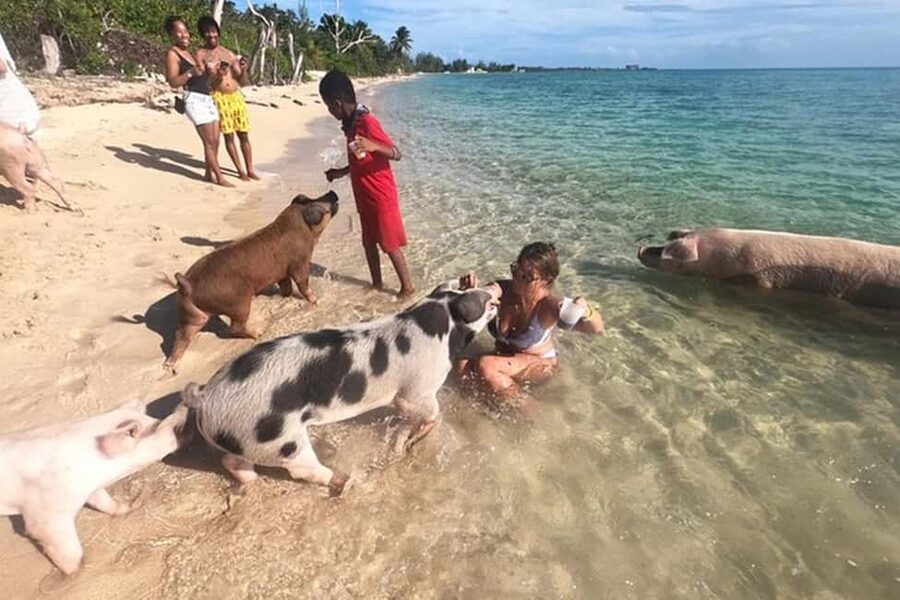Nassau: Island Hopping Boat Trip with Lunch & Drinks - Pearl Island snorkeling comes first