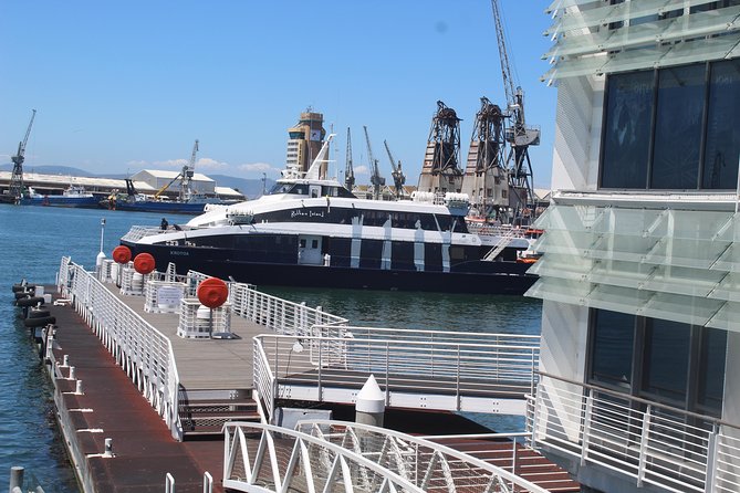 Nelson Mandela's Robben Island Prison Museum Cape Town City Tour + Ferry Tickets - The Castle of Good Hope and Cape Town’s colonial power