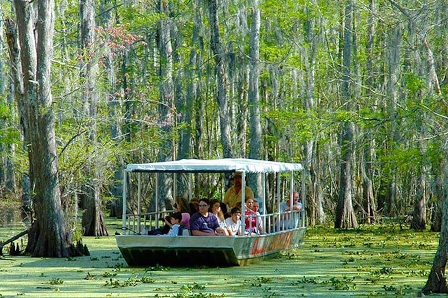 New Orleans: Honey Island Swamp and Bayou Boat Tour - Guides who give the ride its personality