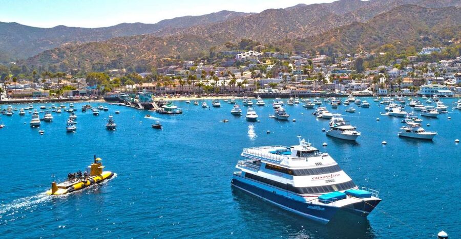 Newport Beach: Ferry Ticket to/from Catalina Island - How much time should you allow?