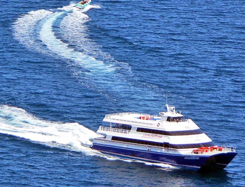 Newport Beach: Ferry Ticket to/from Catalina Island - The open-ocean views are part of the trip