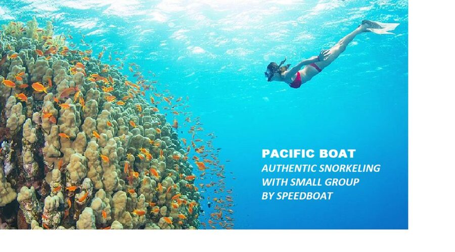 Nha Trang: Island-Hopping & Snorkeling Day Trip by Speedboat - A fast route from Nha Trang to three islands