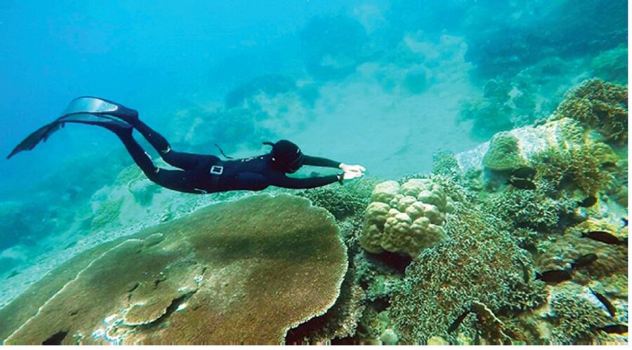 Nha Trang: Island-Hopping & Snorkeling Day Trip by Speedboat - What to pack for six hours on the water